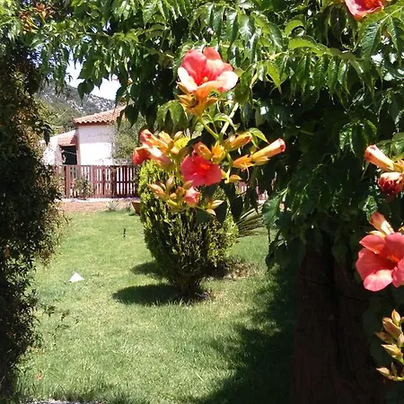 Casa vacanze Dimitris House *